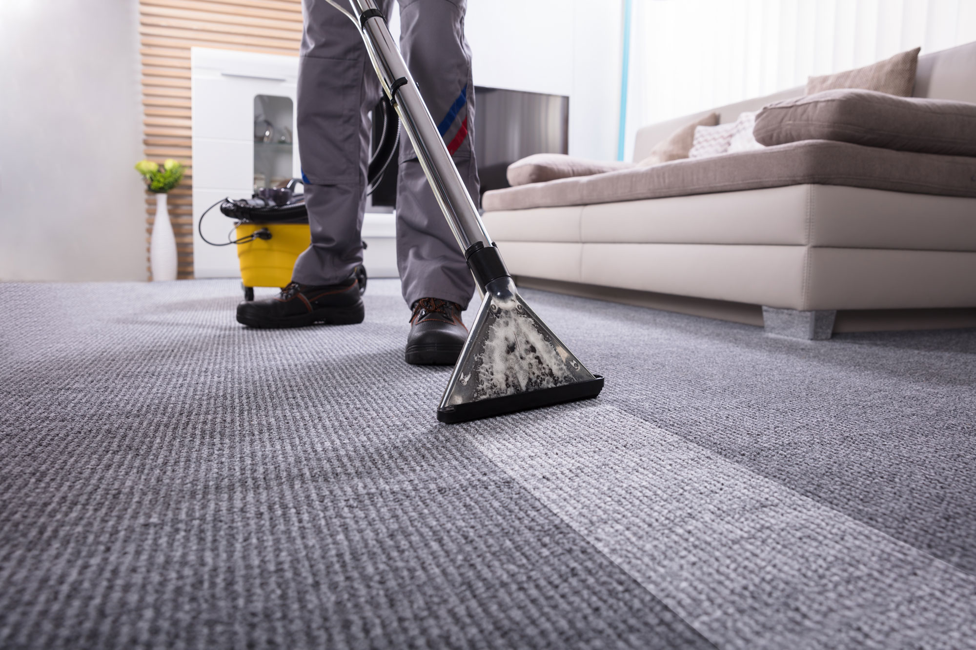 A professional carpet cleaning website with increased visibility and enhanced credibility